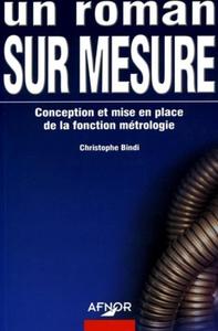UN ROMAN SUR MESURE. CONCEPTION ET MISE EN PLACE DE LA FONCTION METROLOGIE