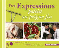 DES EXPRESSIONS PASSEES AU PEIGNE FIN