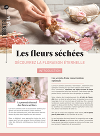LES FLEURS SECHEES - DECOUVREZ LA FLORAISON ETERNELLE