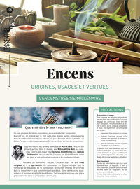 ENCENS : ORIGINES, USAGES ET VERTUS - L'ENCENS, RESINE MILLENAIRE