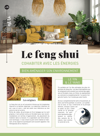 Le Feng Shui