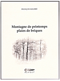 MONTAGNE DE PRINTEMPS PLAIE DE BRIQUES