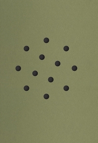 CEMRE YESIL MARIA STURM FOR BIRDS SAKE /ANGLAIS