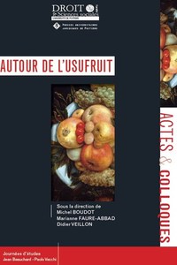 AUTOUR DE L'USUFRUIT - TOME 116 - JOURNEES D'ETUDES JEAN BEAUCHARD-PAOLO M. VECCHI