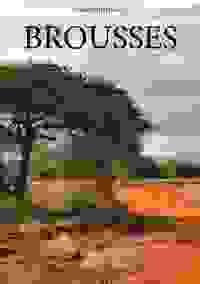 BROUSSES
