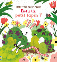 Es-tu là, petit lapin ? - Mon petit cache-cache