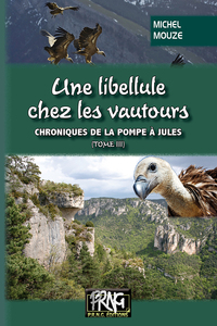 UNE LIBELLULE CHEZ LES VAUTOURS - (CHRONIQUES DE LA POMPE A JULES, TOME 3)