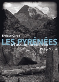 Les Pyrénées à l'assaut du château