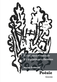 A CIEL OUVERT SUIVI DE IL Y A PLUSIEURS CHEMINS