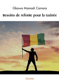 Besoins de refonte pour la Guinée
