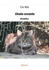 Chats errants - réédition