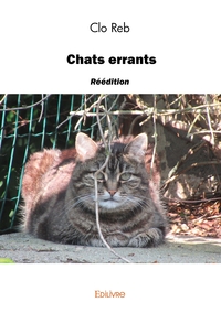 Chats errants - réédition