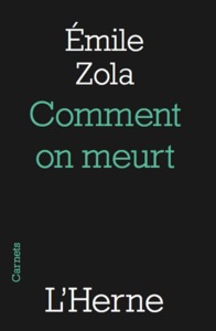 COMMENT ON MEURT