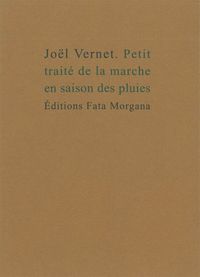 Petit traité de la marche en saison des pluies