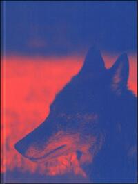 ASTA GROTING: DAS WESEN VON X /ANGLAIS/ALLEMAND