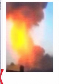 Affect Me Social Media Images in Art /anglais/allemand