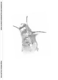 RAQS MEDIA COLLECTIVE HUNGRY FOR TIME /ANGLAIS