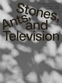 ZYGMUNT RYTKA STONES ANTS AND TELEVISION /ANGLAIS