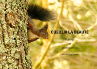 CUEILLIR LA BEAUTE. POEMES ET PHOTOGRAPHIES