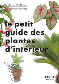 LE PETIT GUIDE JARDIN DES PLANTES D'INTERIEUR