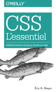 CSS L'ESSENTIEL - PRESENTATION VISUELLE POUR LE WEB
