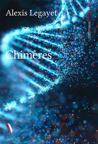 CHIMERES