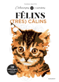 Colo by number - félins très calins