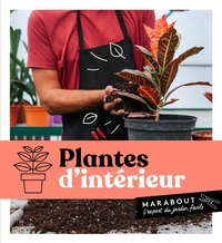 PLANTES D'INTERIEUR
