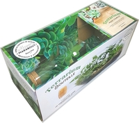 COFFRET TERRARIUM BOUTEILLE