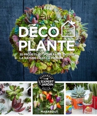 DECO PLANTE - 35 PROJETS DIY POUR FAIRE ENTRER LA NATURE DANS LA MAISON