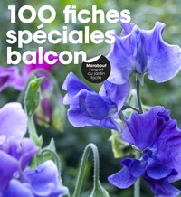100 fiches spéciales balcon