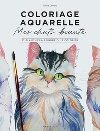 Mes chats beautés