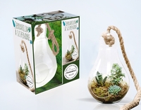 COFFRET AMPOULE TERRARIUM