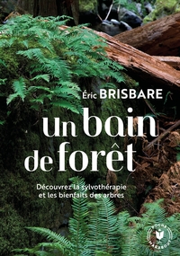 UN BAIN DE FORET