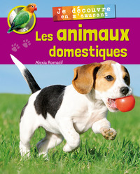 Je découvre les animaux domestiques en m'amusant