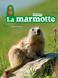 La marmotte