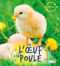 DE L'OEUF A LA POULE