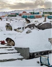 Anthony Goicolea Fictions /anglais