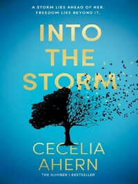 Into the storm