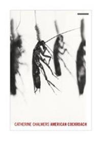 Catherine Chalmers America Cockroach /anglais