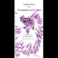 La nuance et le signe