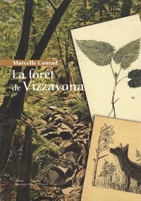 La forêt de Vizzavona