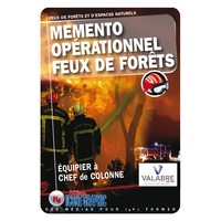 MEMENTO OPERATIONNEL "FEUX DE FORETS - EQUIPIER A CHEF DE COLONNE" - MEMENTO FEUX DE FORETS