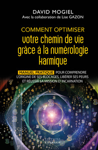 COMMENT OPTIMISER VOTRE CHEMIN DE VIE GRACE A LA NUMEROLOGIE KARMIQUE - MANUEL PRATIQUE POUR COMPREN