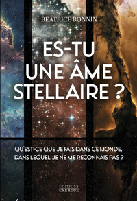 ES-TU UNE AME STELLAIRE? - QU'EST-CE QUE JE FAIS DANS CE MONDE, DANS LEQUEL JE NE ME RECONNAIS PAS ?