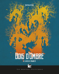 Le livre de l'énigme, tome 2