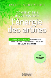 Comment bien se connecter à l'énergie des arbres