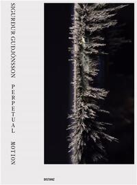 Sigur ur Gu jo?nsson Perpetual Motion /anglais