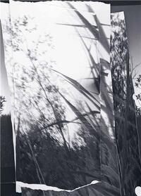 walks, conversations /anglais