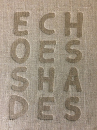 Echoes Shades